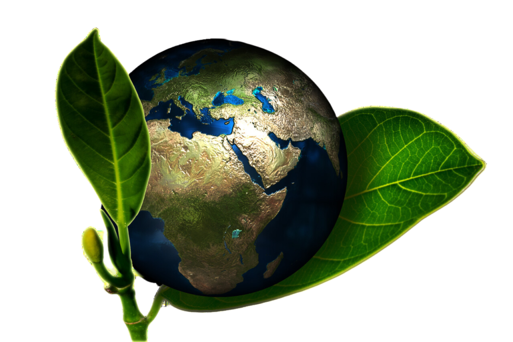 création de site internet écologique à lyon